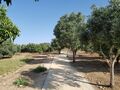 sicile 062a